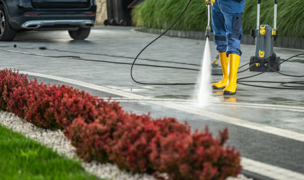 Best Local Pressure Washing Services  in Fayette, IA